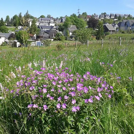 아파트 Berndt By Interhome Oberweißbach